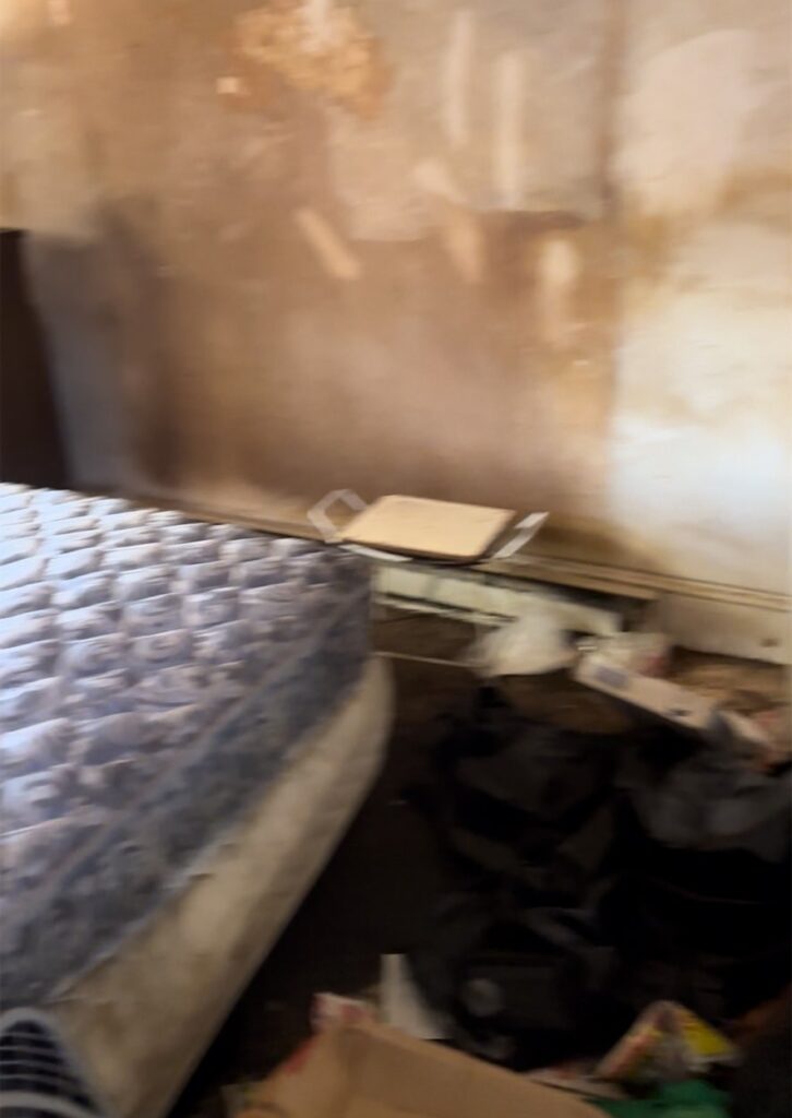 4e3eb2d3 c826 422c a65b da9bf65d2c12